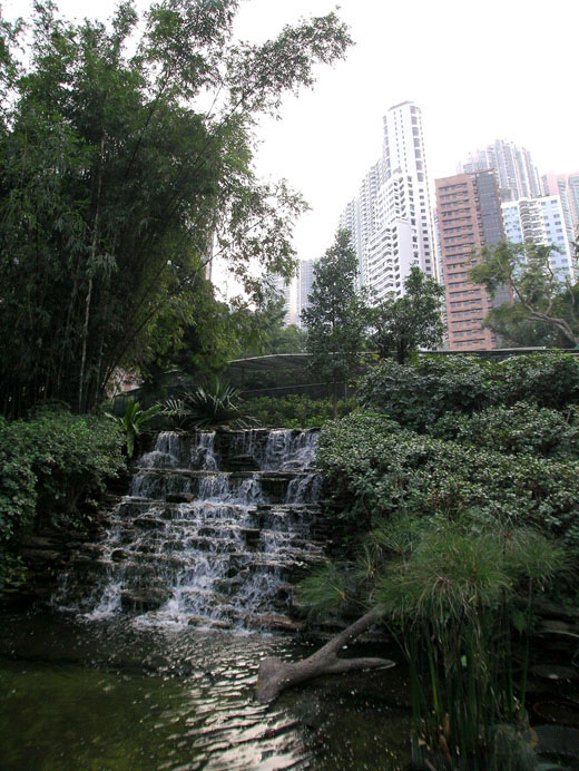 相片 5: 香港動植物公園