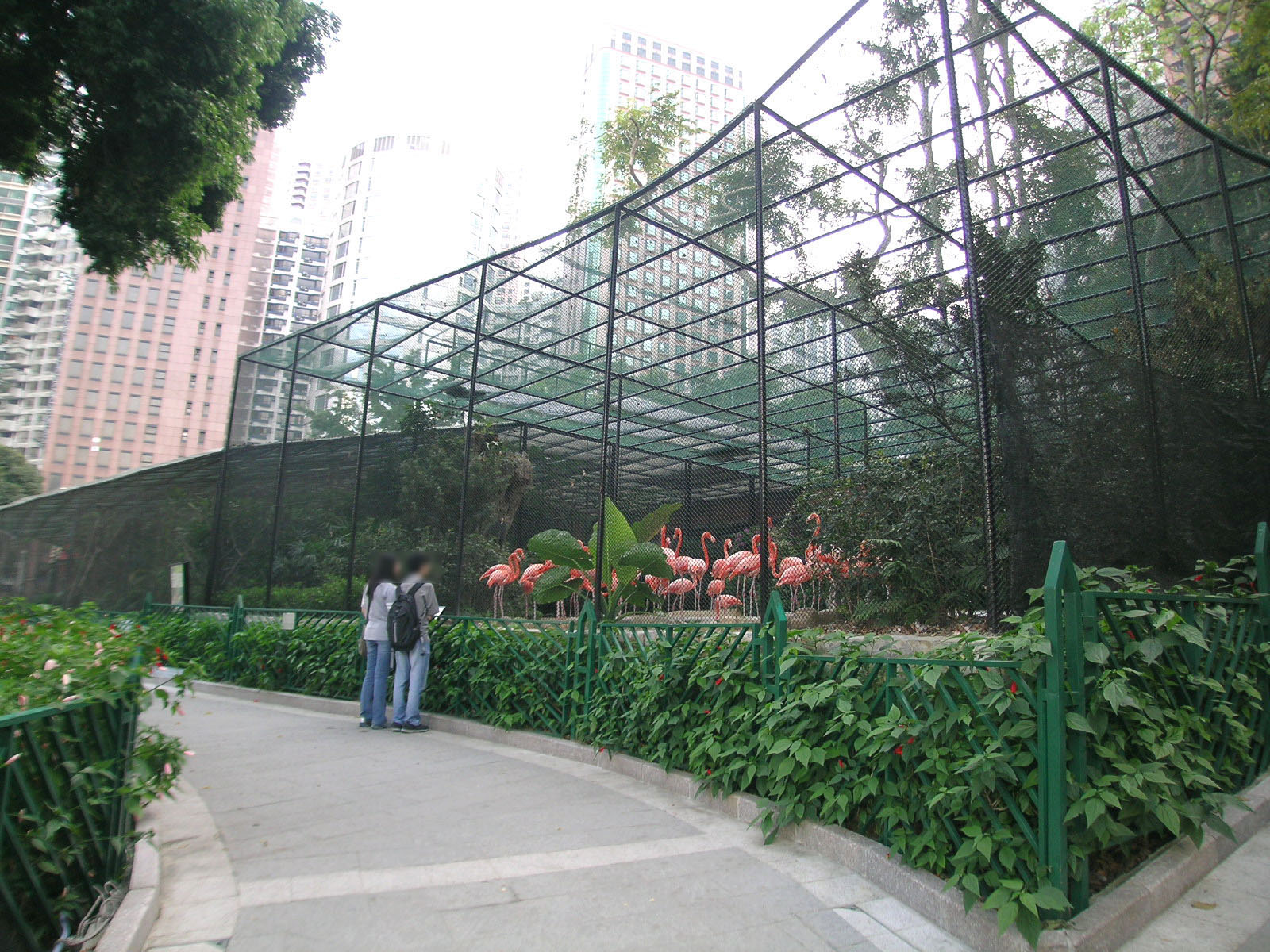 相片 10: 香港動植物公園