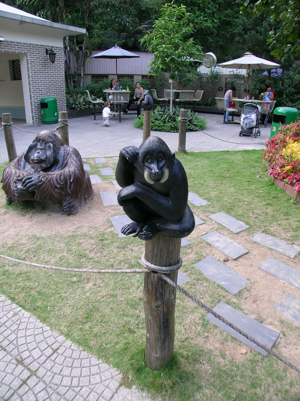 相片 13: 香港動植物公園