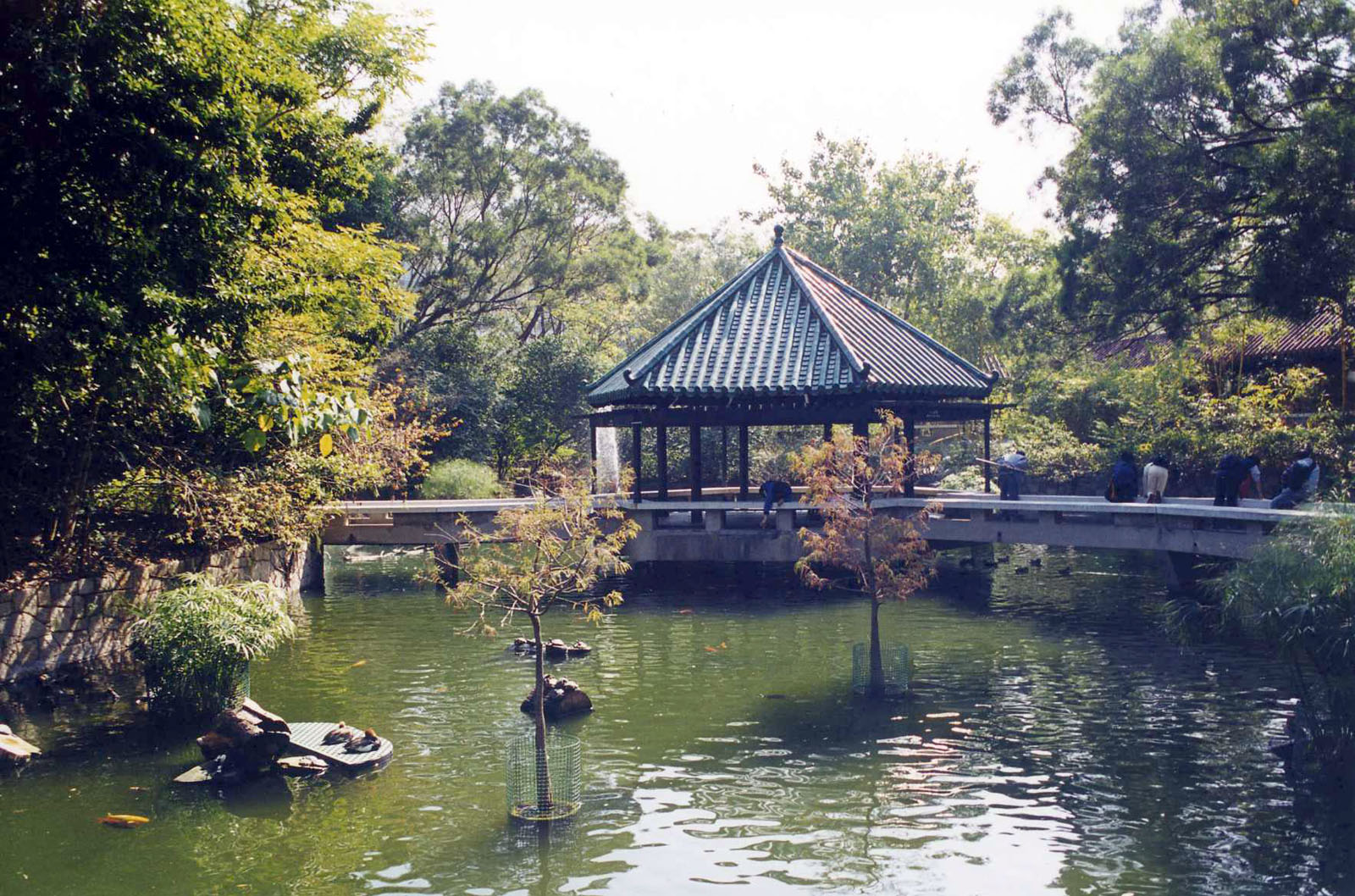 相片 6: 九龍公園