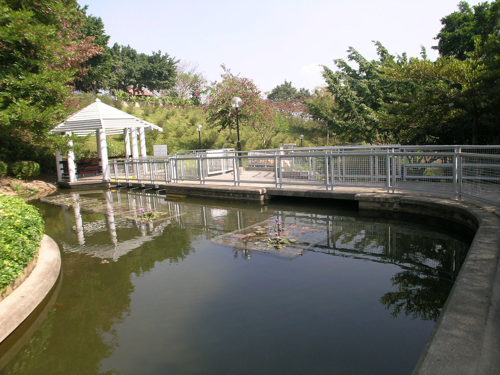 相片 12: 元朗公園