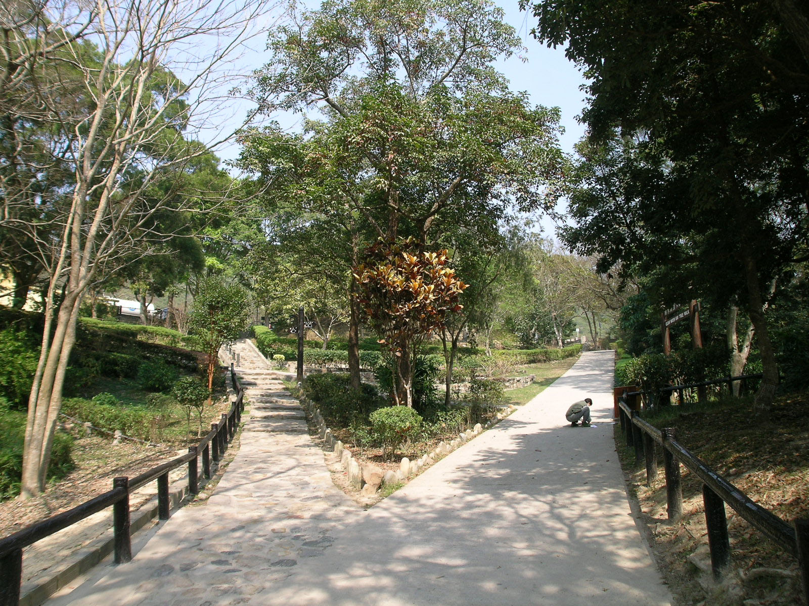 相片 5: 清水灣郊野公園