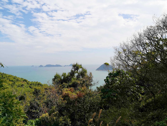 Photo 4: Lung Ha Wan Country Trail