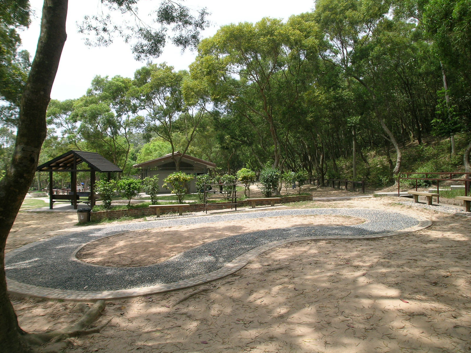 相片 11: 馬鞍山郊野公園