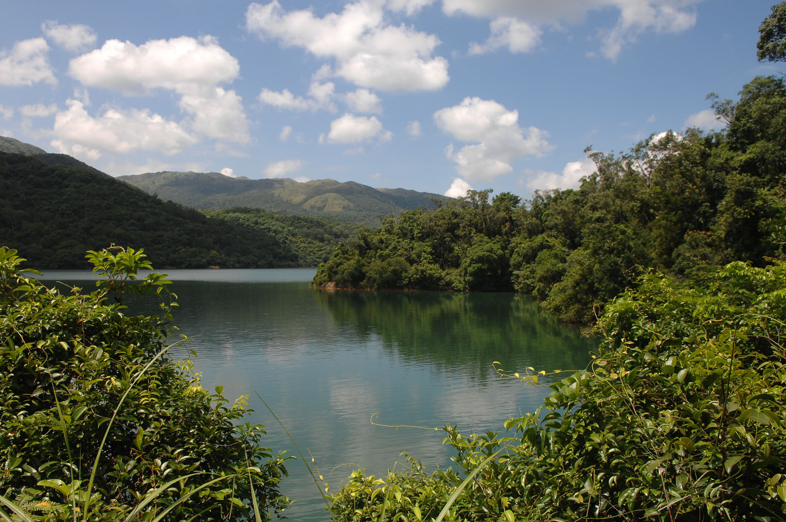 相片 6: 城门水塘