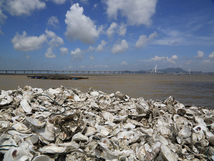 相片 2: 流浮山