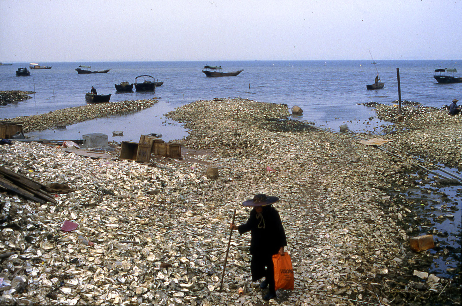 相片 3: 流浮山