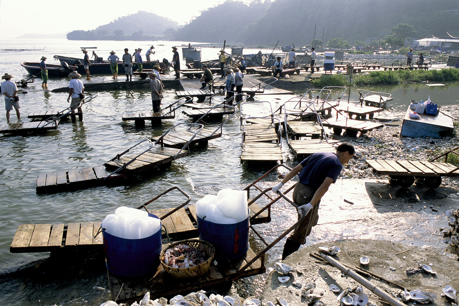 相片 8: 流浮山