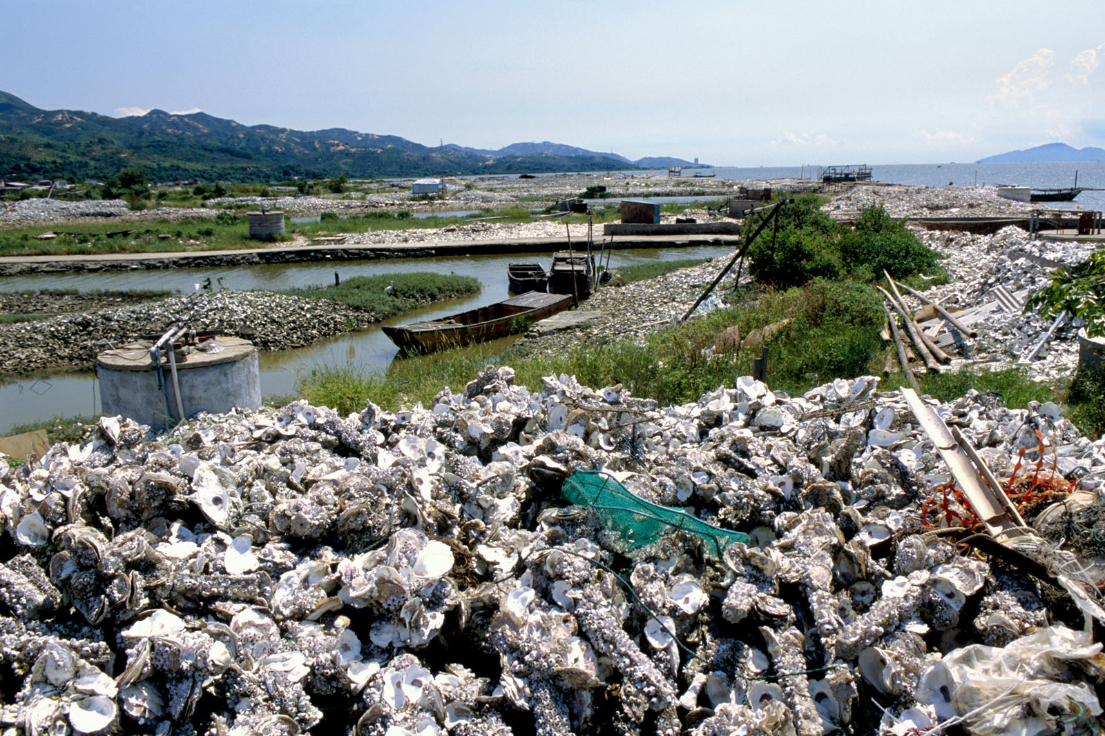 相片 9: 流浮山