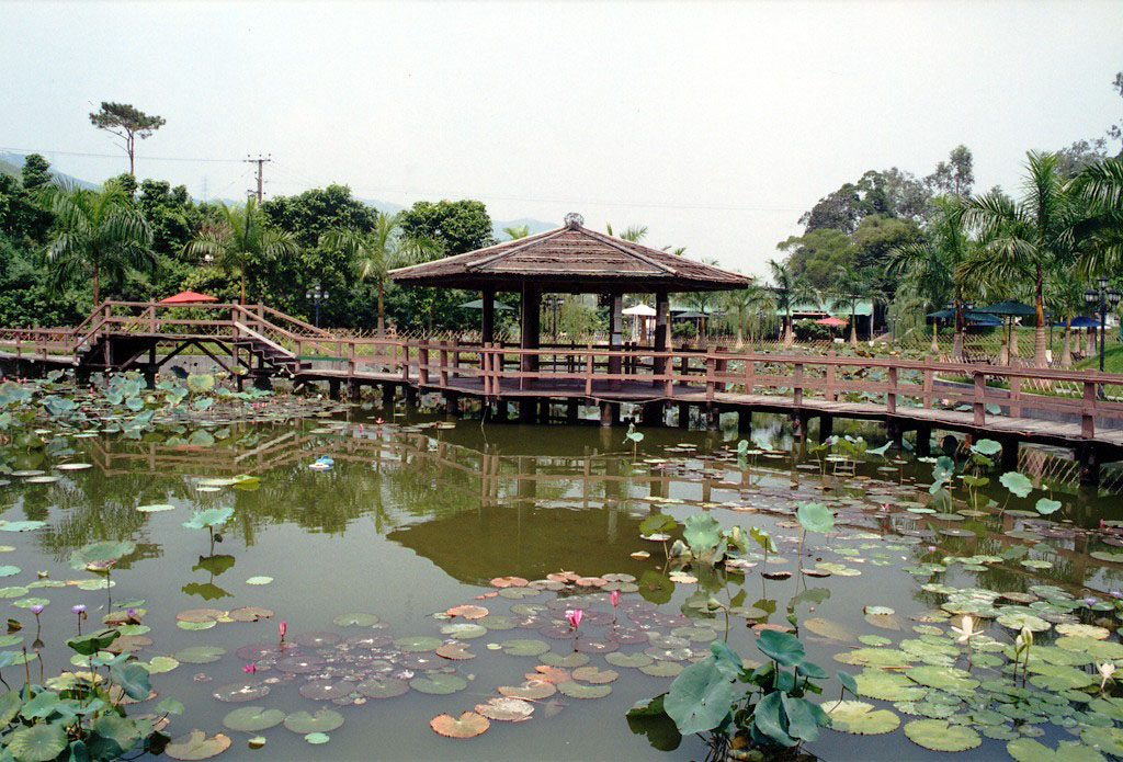 相片 1: 大棠有機生態園