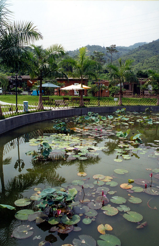 相片 2: 大棠有機生態園