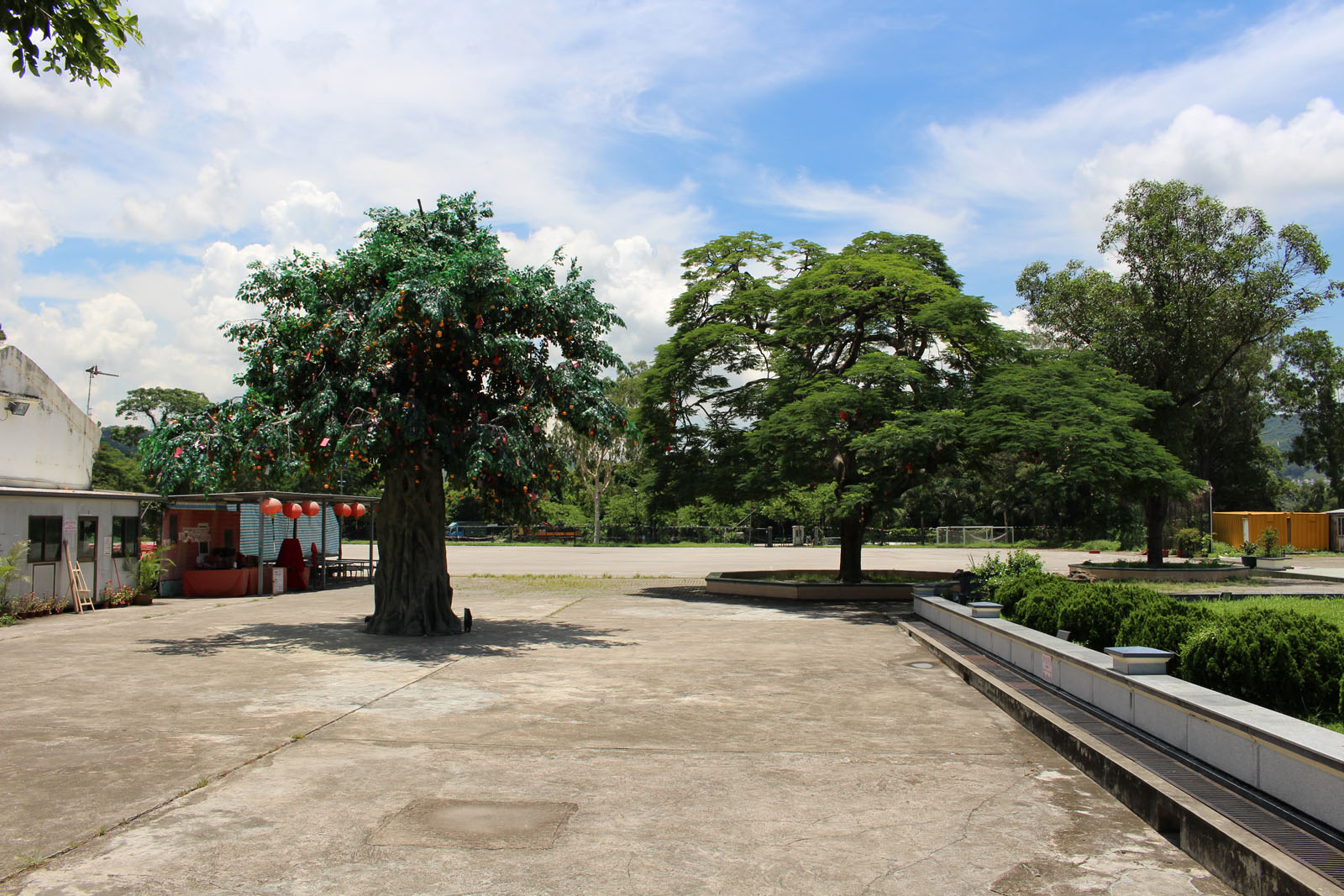 相片 6: 林村許願廣場(包括許願樹)及十二生肖廣場