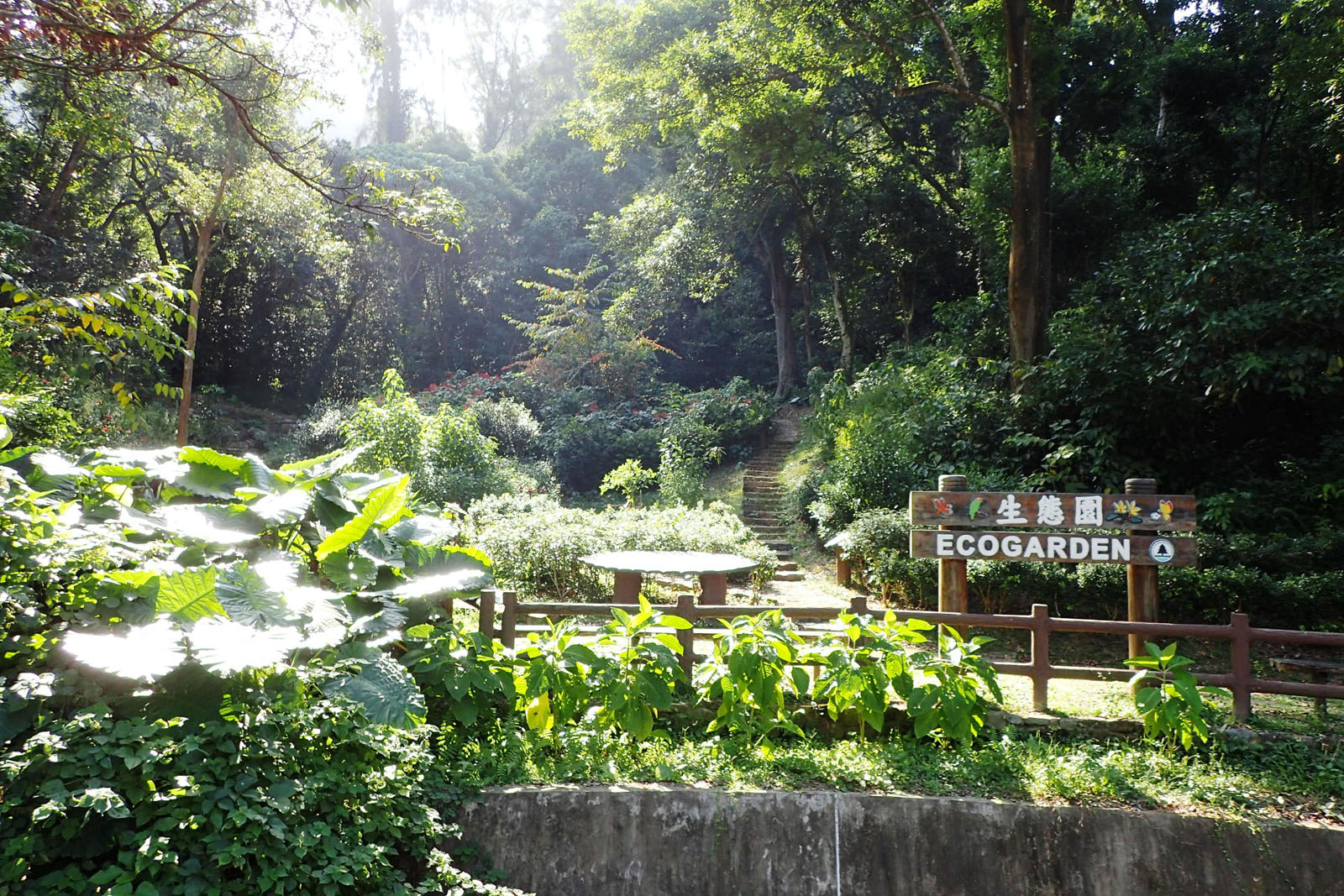 相片 3: 大欖郊野公園