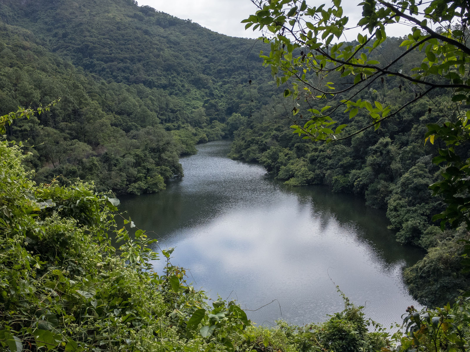 相片 4: 鹤薮水塘