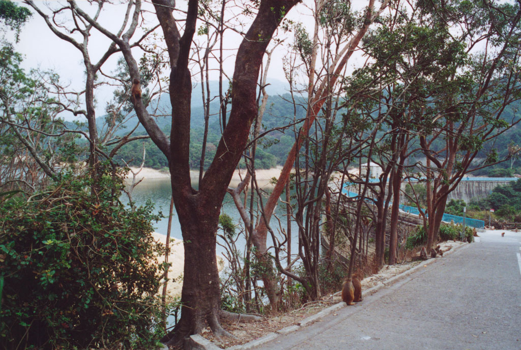 相片 4: 金山郊野公園