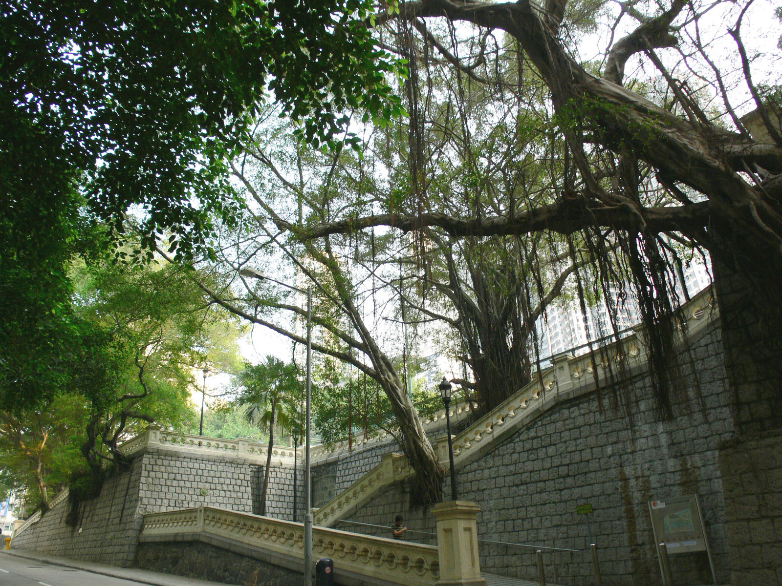 香港佐治五世紀念公園