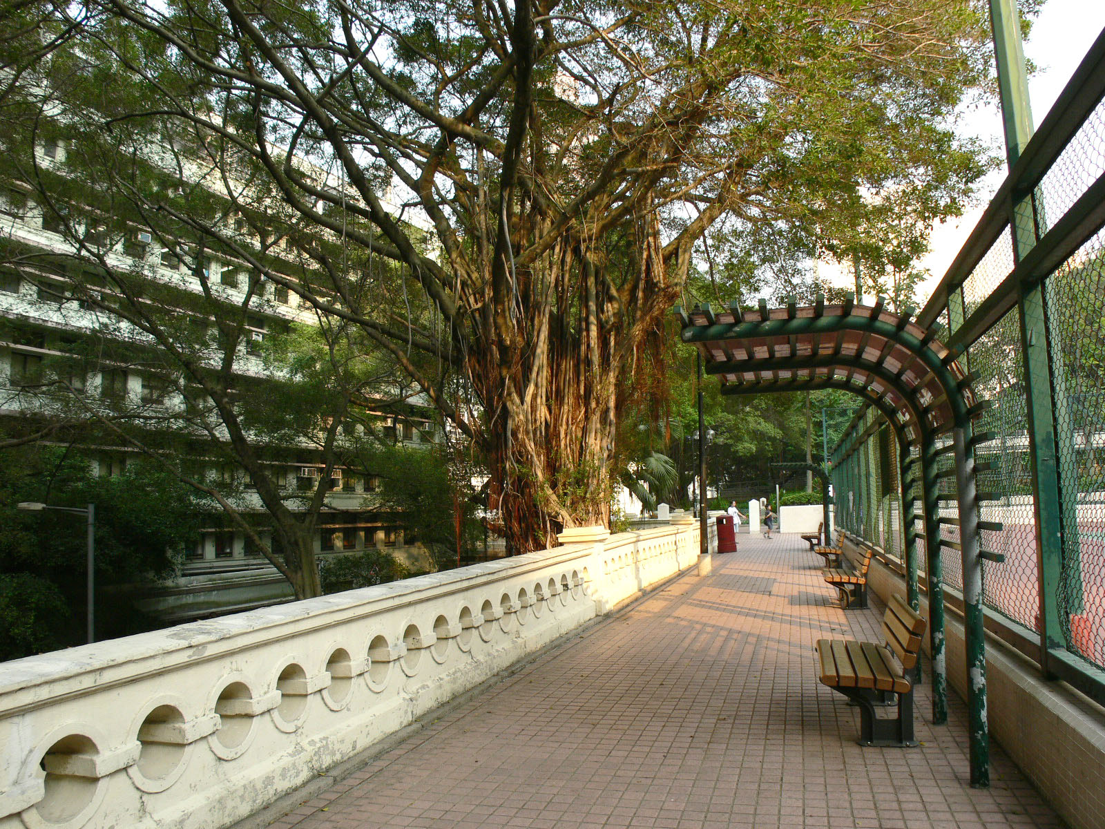 相片 8: 香港佐治五世紀念公園