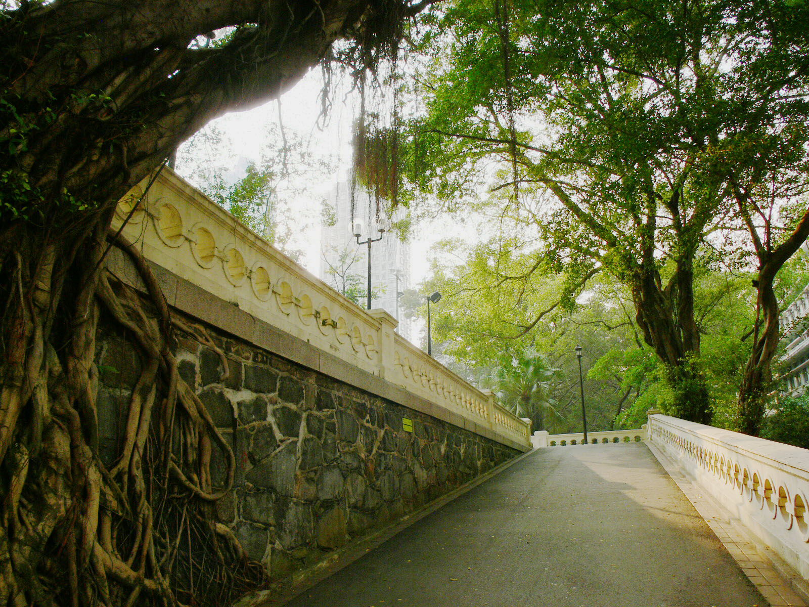 相片 18: 香港佐治五世紀念公園