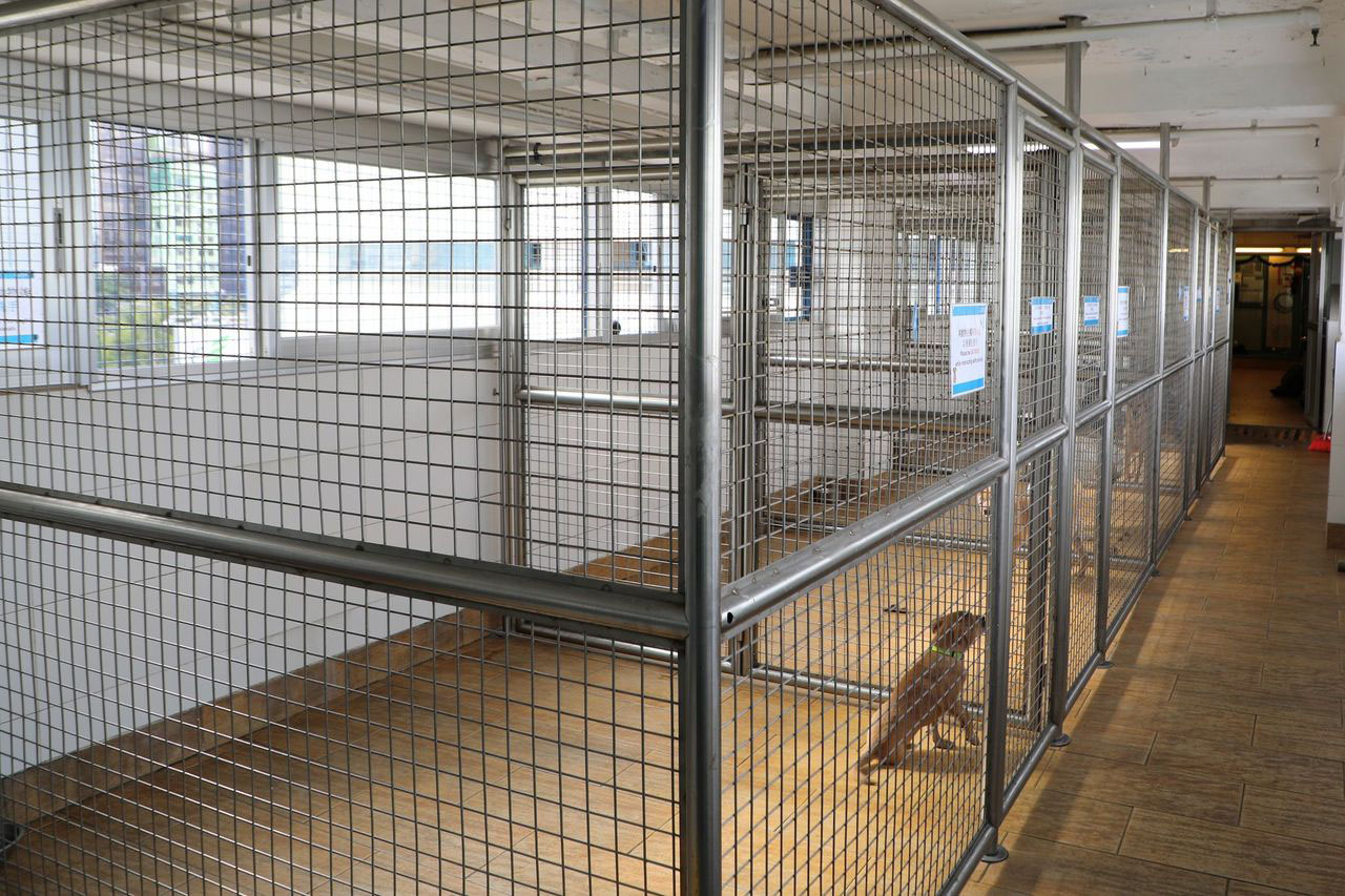 相片 10: 香港愛護動物協會香港總部