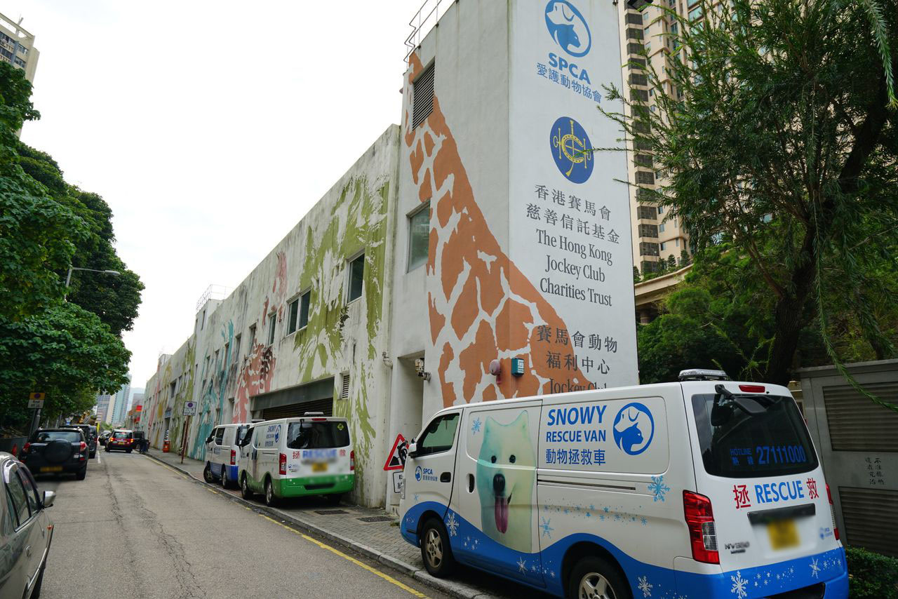 香港愛護動物協會九龍中心