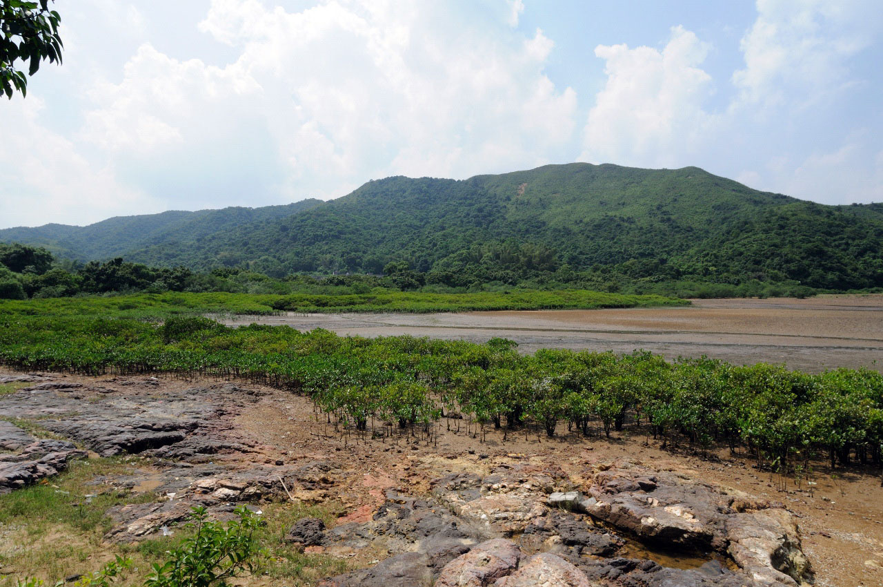 相片 2: 印洲塘海岸公園