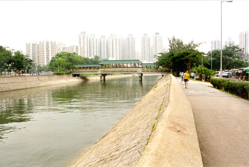 相片 2: 大埔林村河橋