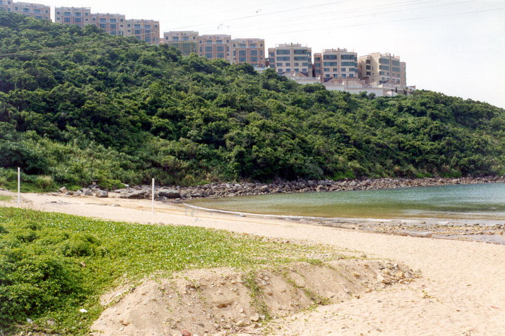 相思湾海滩