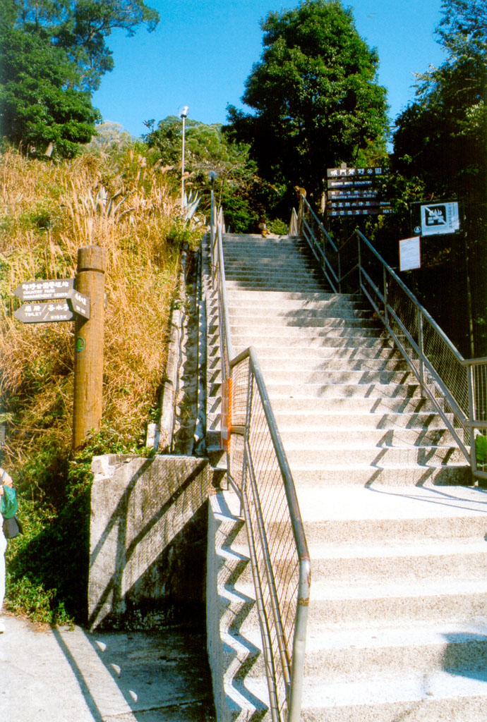 相片 2: 城門郊野公園