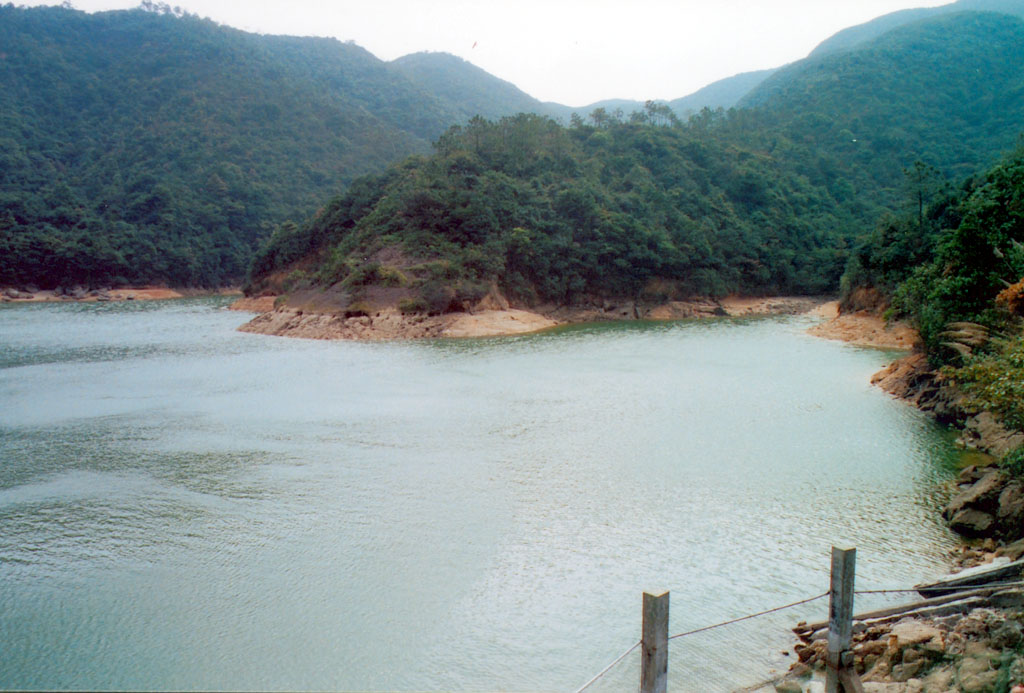 相片 5: 黃泥涌水塘公園