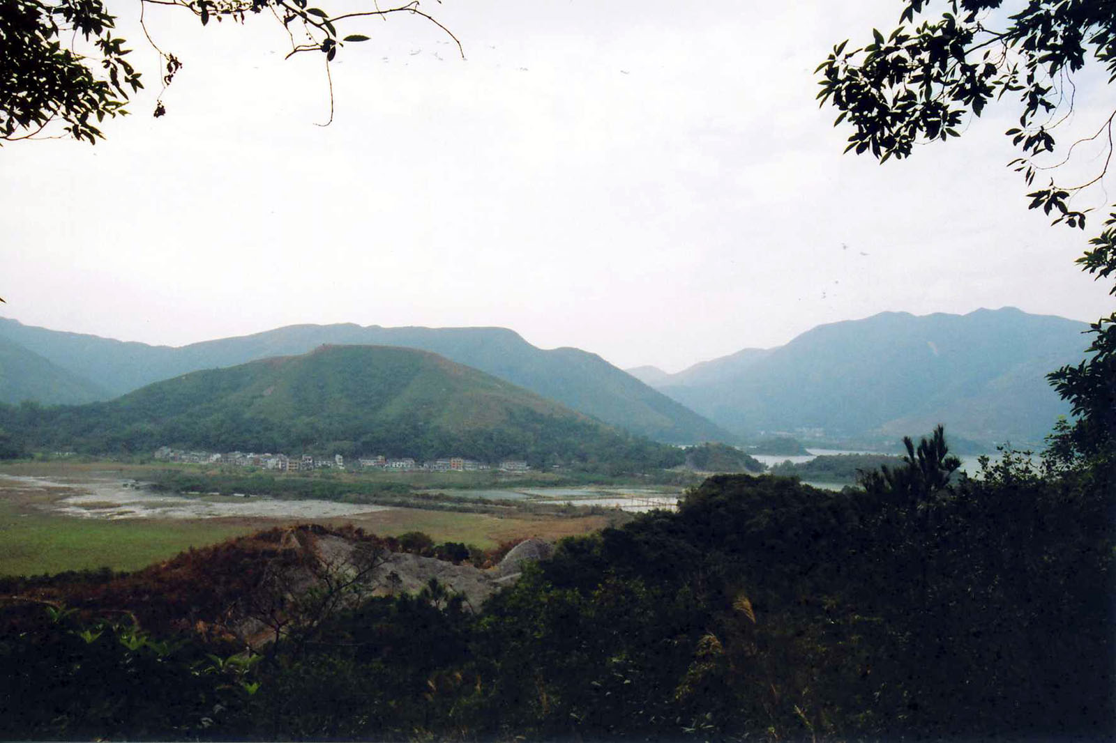 相片 5: 船灣郊野公園