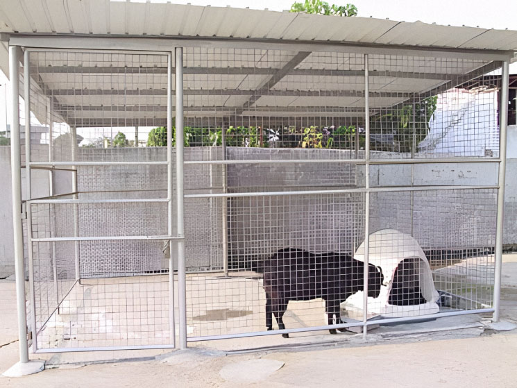 相片 6: 保護遺棄動物協會動物庇護中心