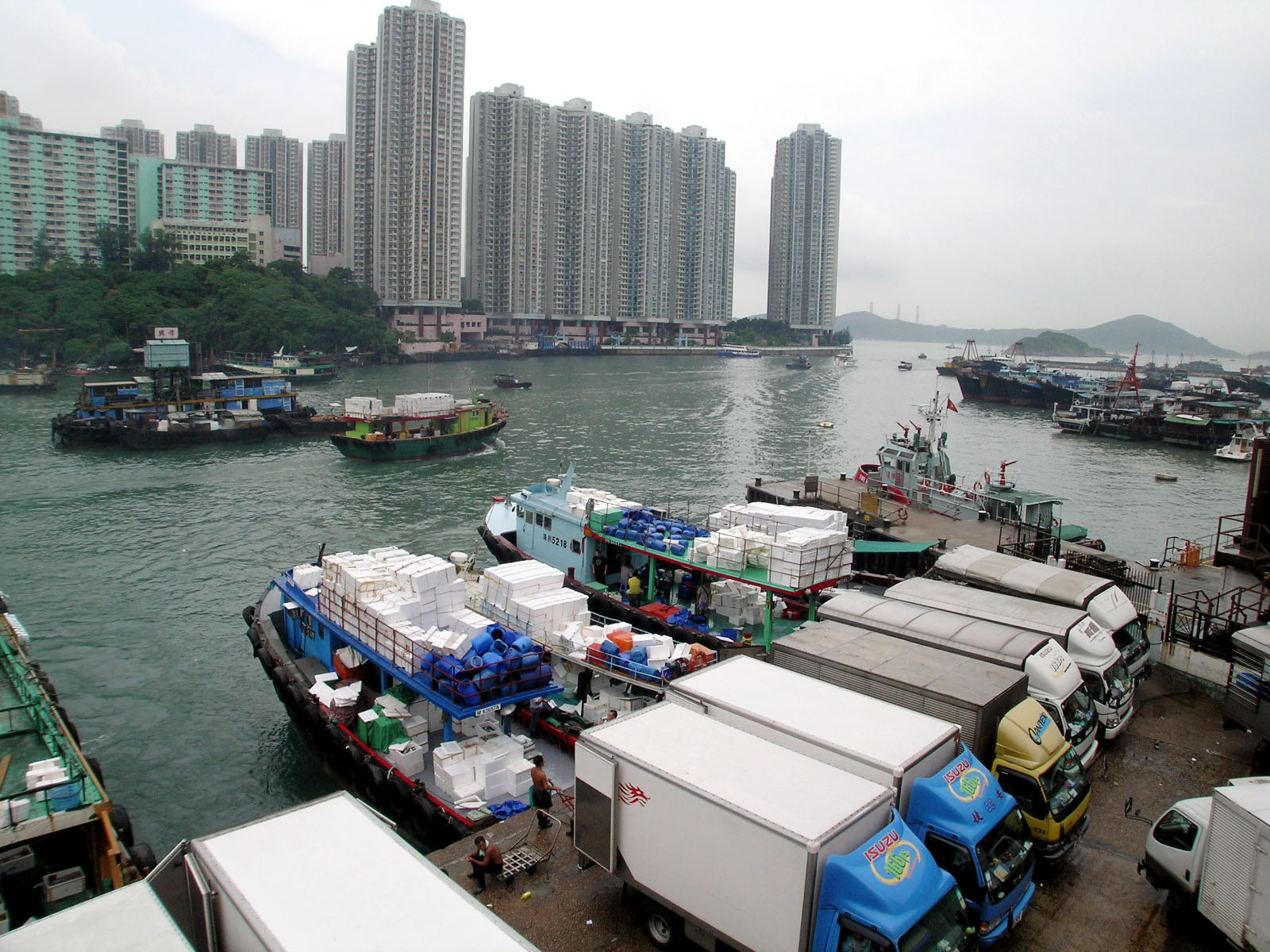 相片 6: 香港仔魚類批發市場