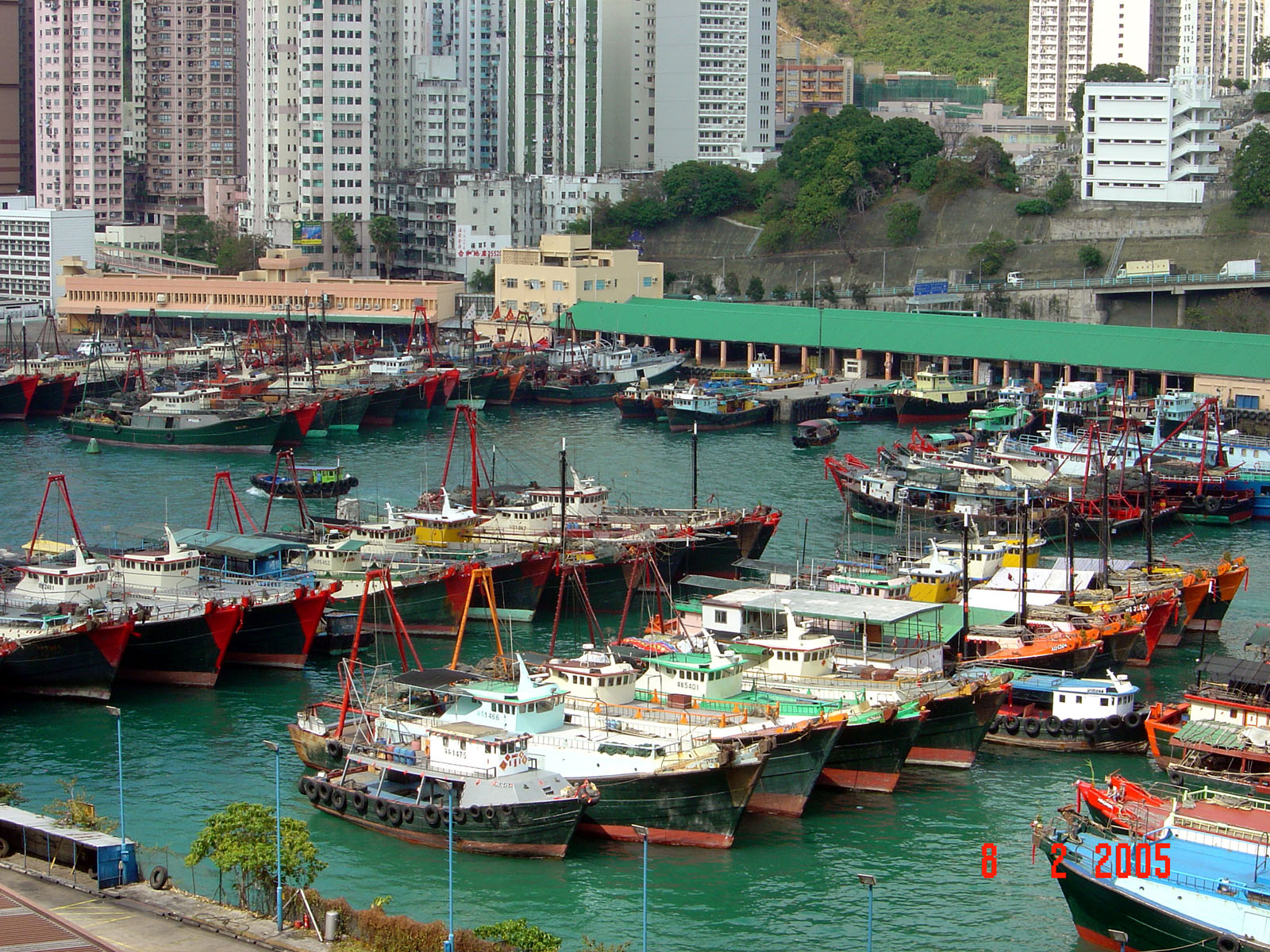 相片 7: 香港仔魚類批發市場