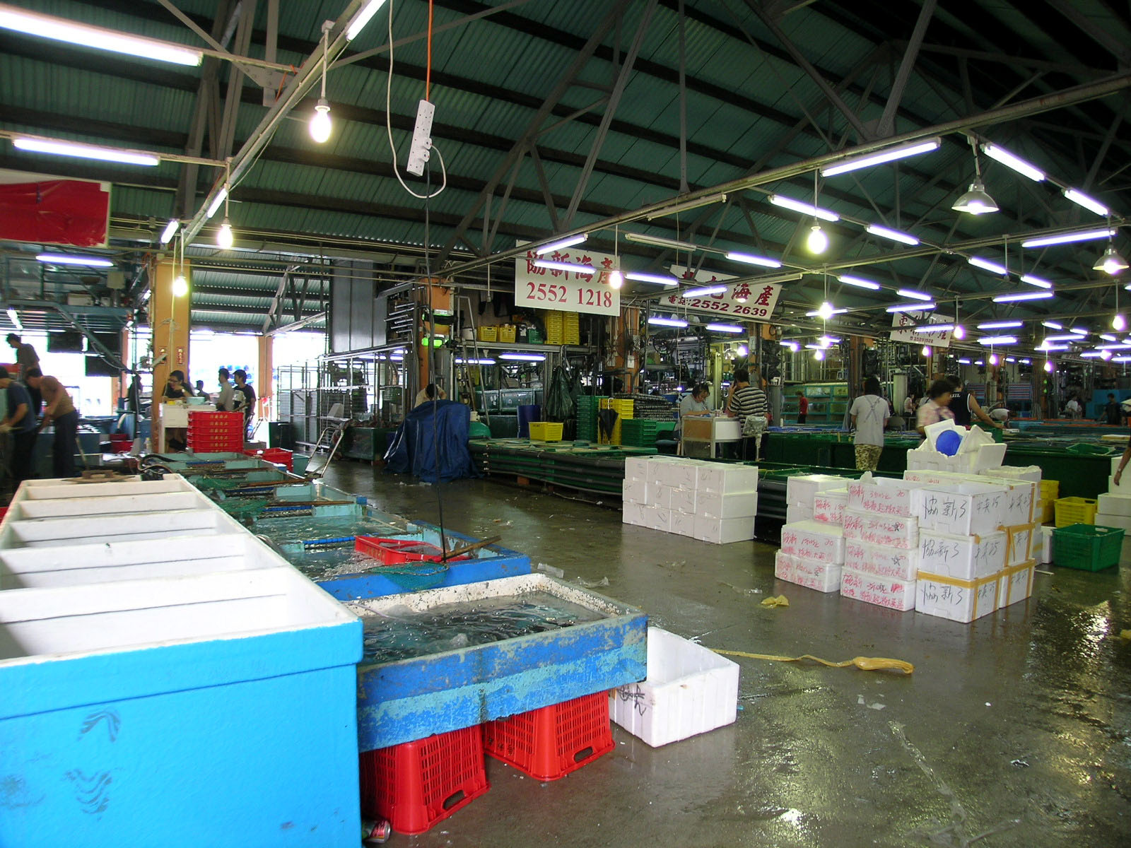 相片 10: 香港仔魚類批發市場