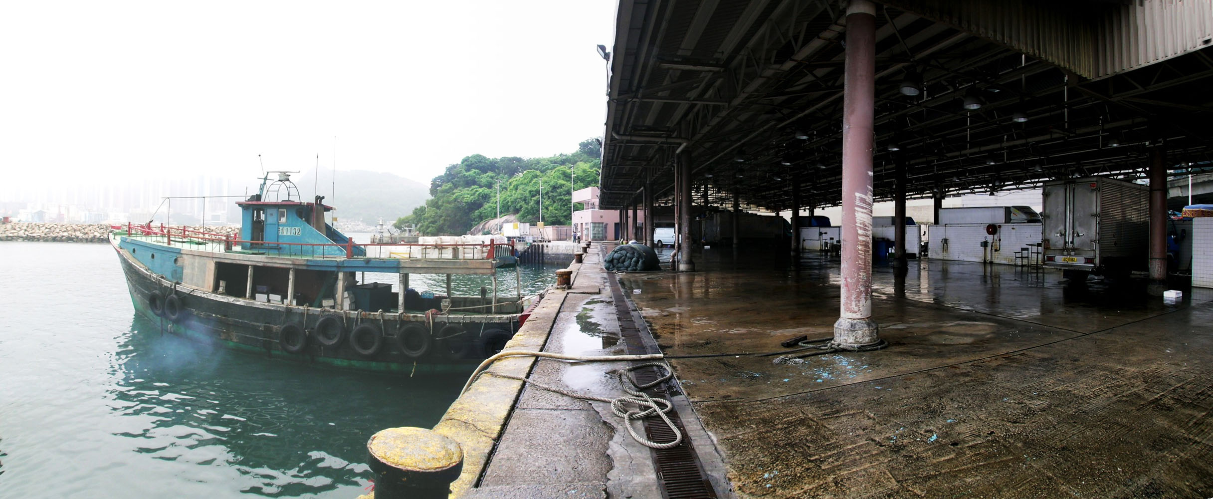 相片 6: 筲箕灣魚類批發市場