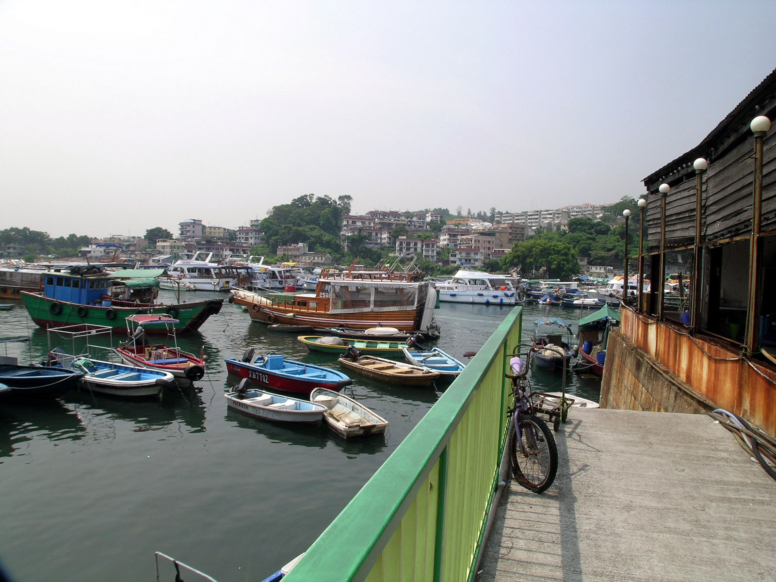 相片 5: 西貢魚類批發市場