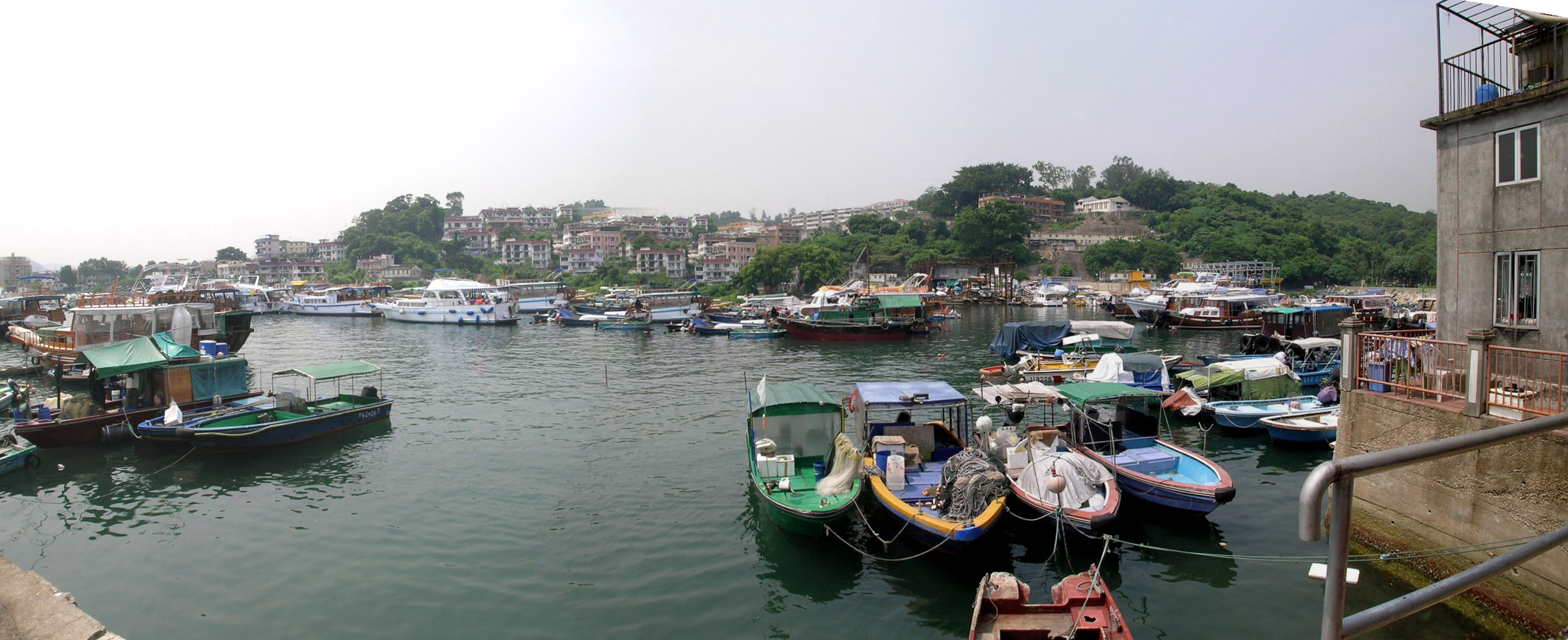 相片 6: 西貢魚類批發市場