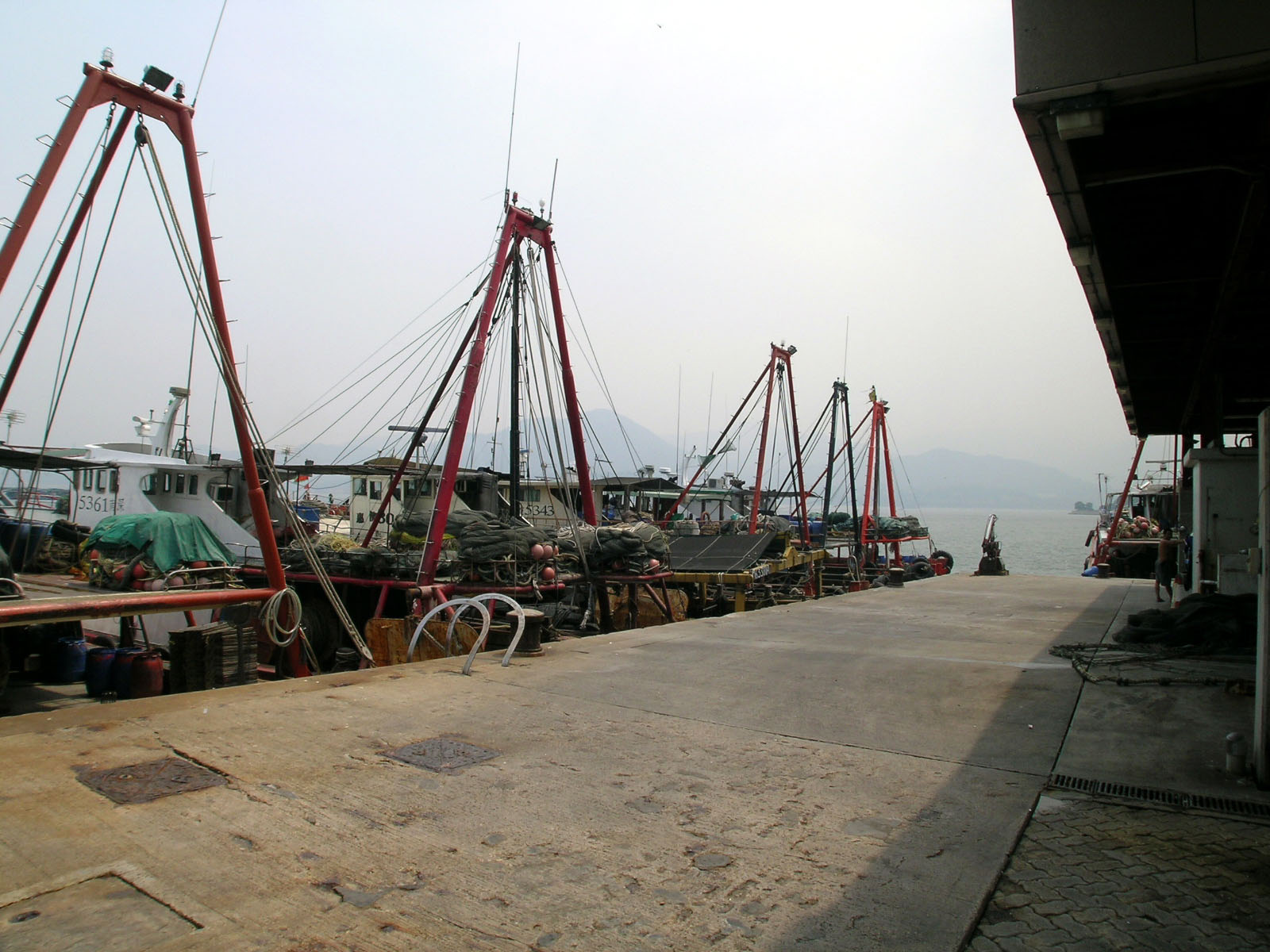 相片 2: 大埔魚類批發市場
