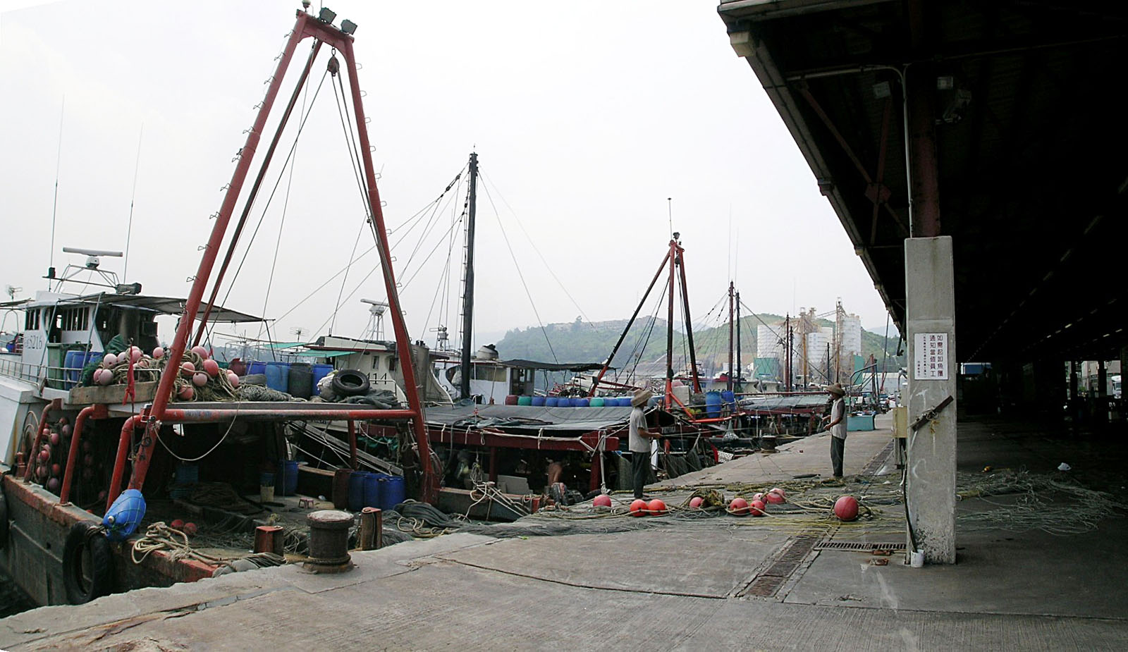 相片 4: 大埔魚類批發市場