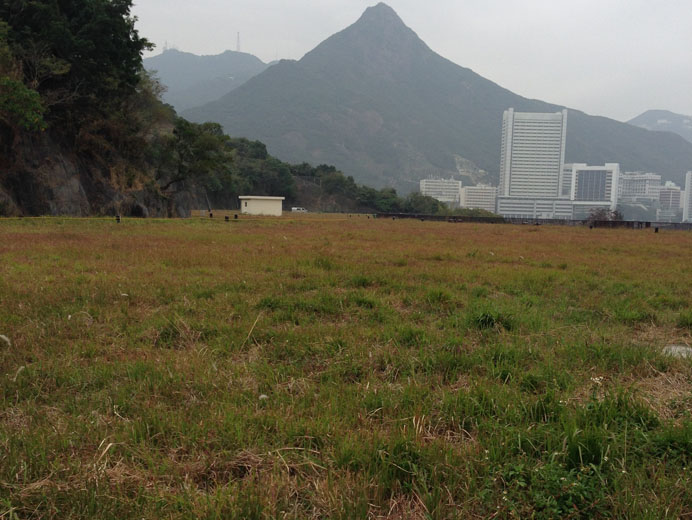 相片 2: 摩星嶺配水庫臨時花園