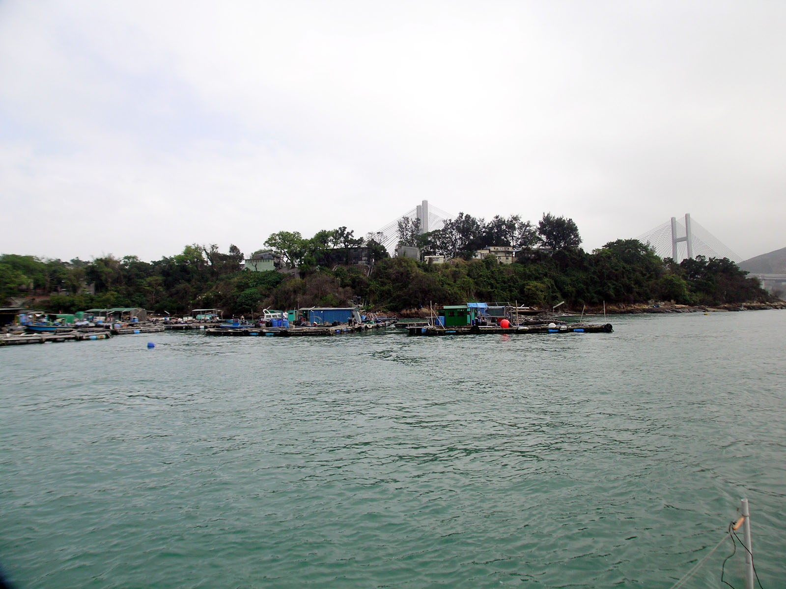 Photo 5: Ma Wan Fish Culture Zone (Fishing Rafts)