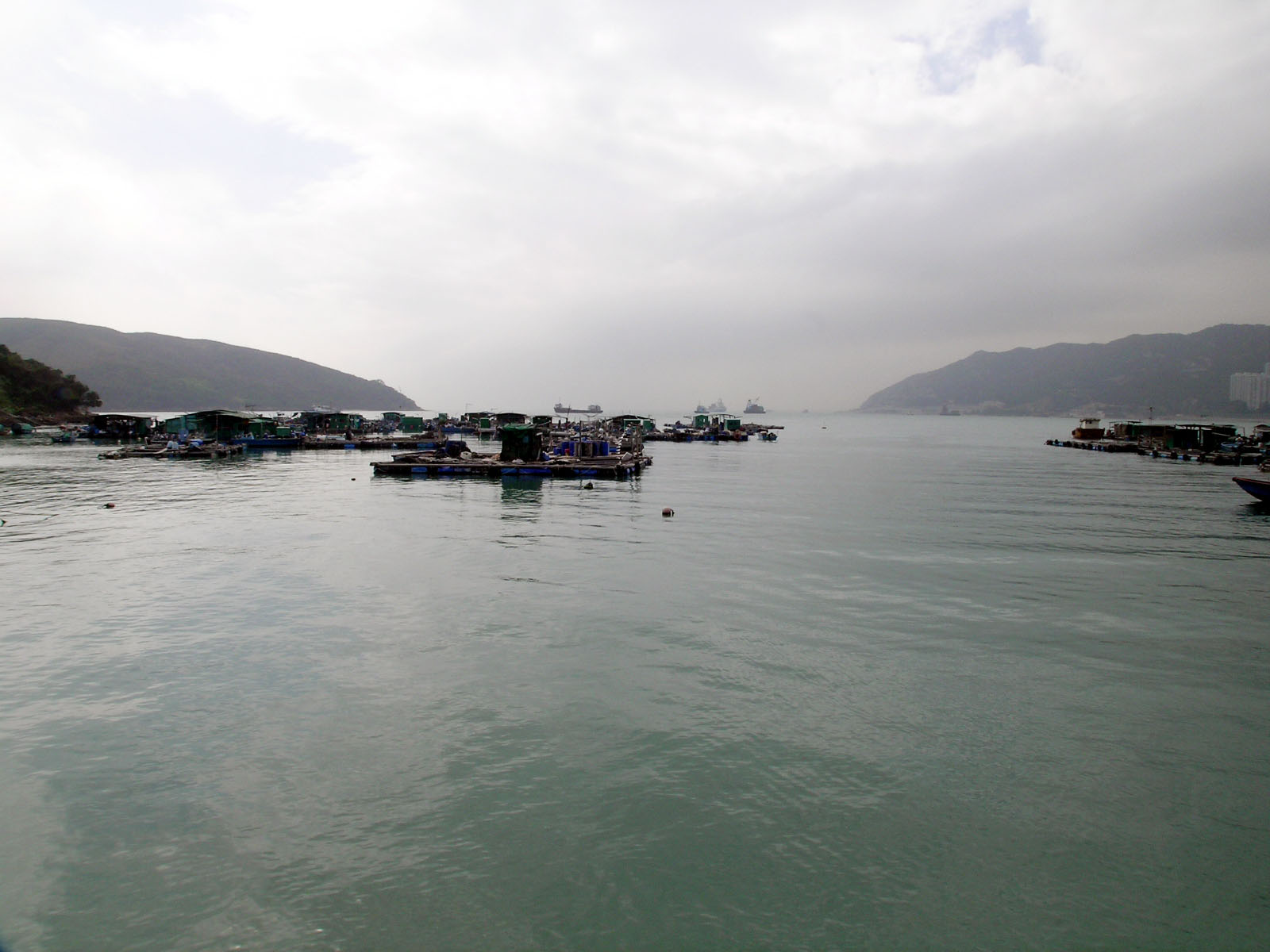 Photo 7: Ma Wan Fish Culture Zone (Fishing Rafts)