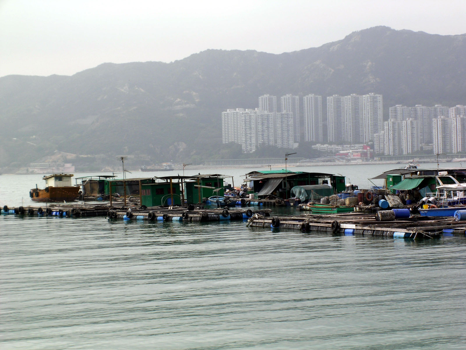 Photo 9: Ma Wan Fish Culture Zone (Fishing Rafts)