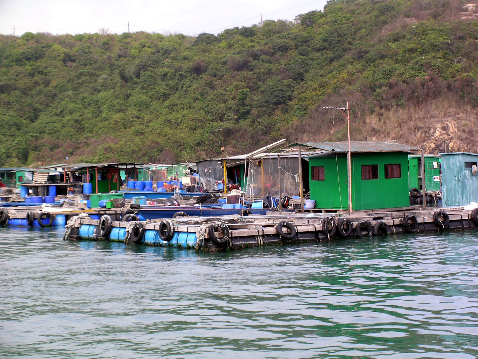 Photo 11: Ma Wan Fish Culture Zone (Fishing Rafts)