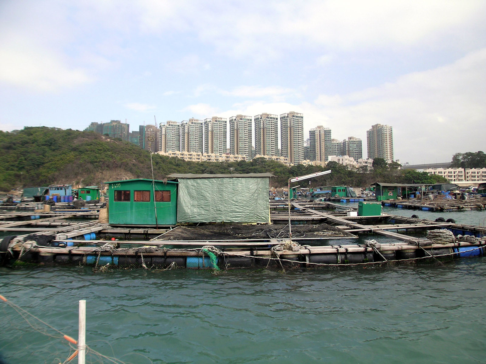 Photo 12: Ma Wan Fish Culture Zone (Fishing Rafts)