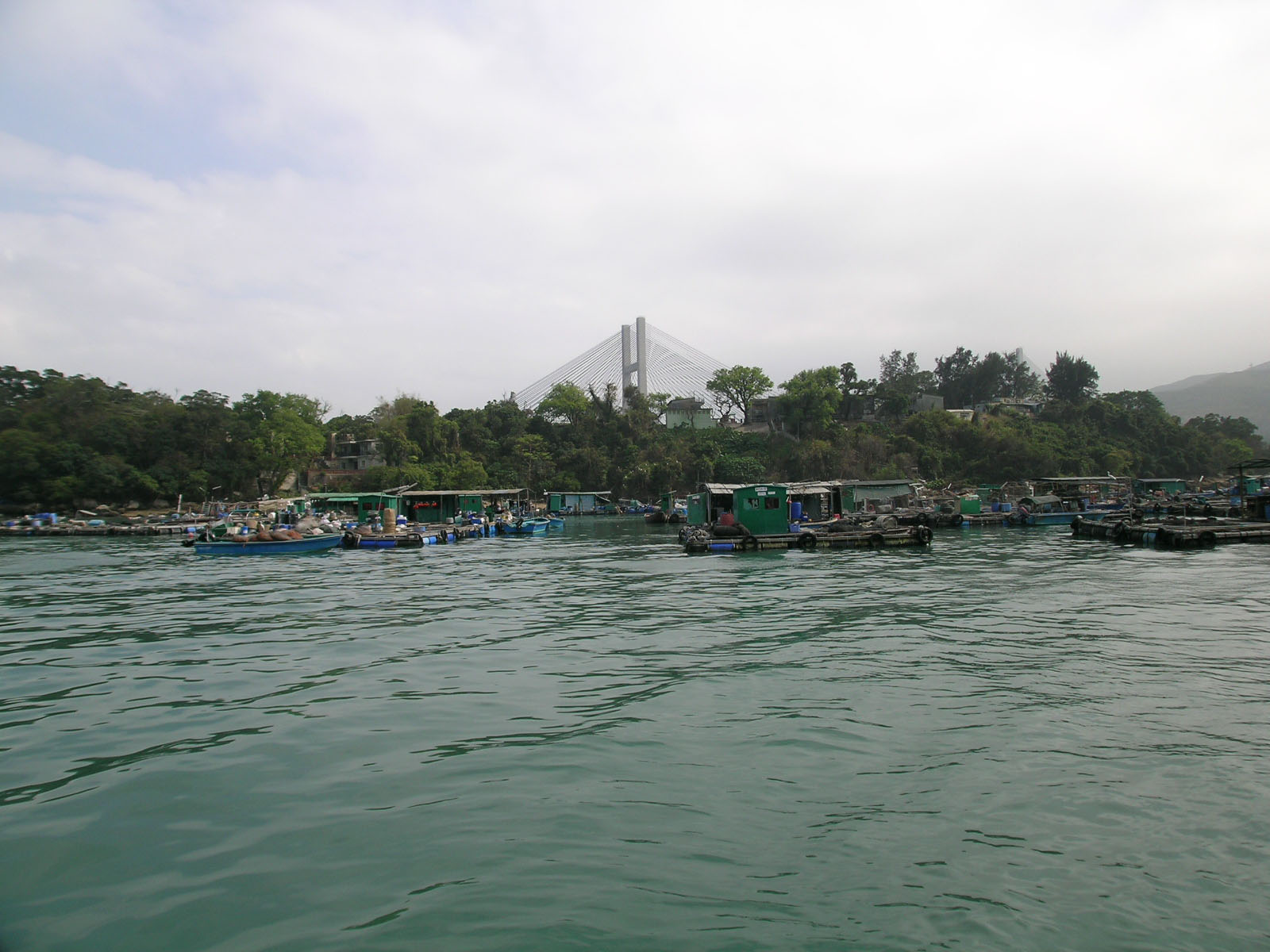 Photo 13: Ma Wan Fish Culture Zone (Fishing Rafts)