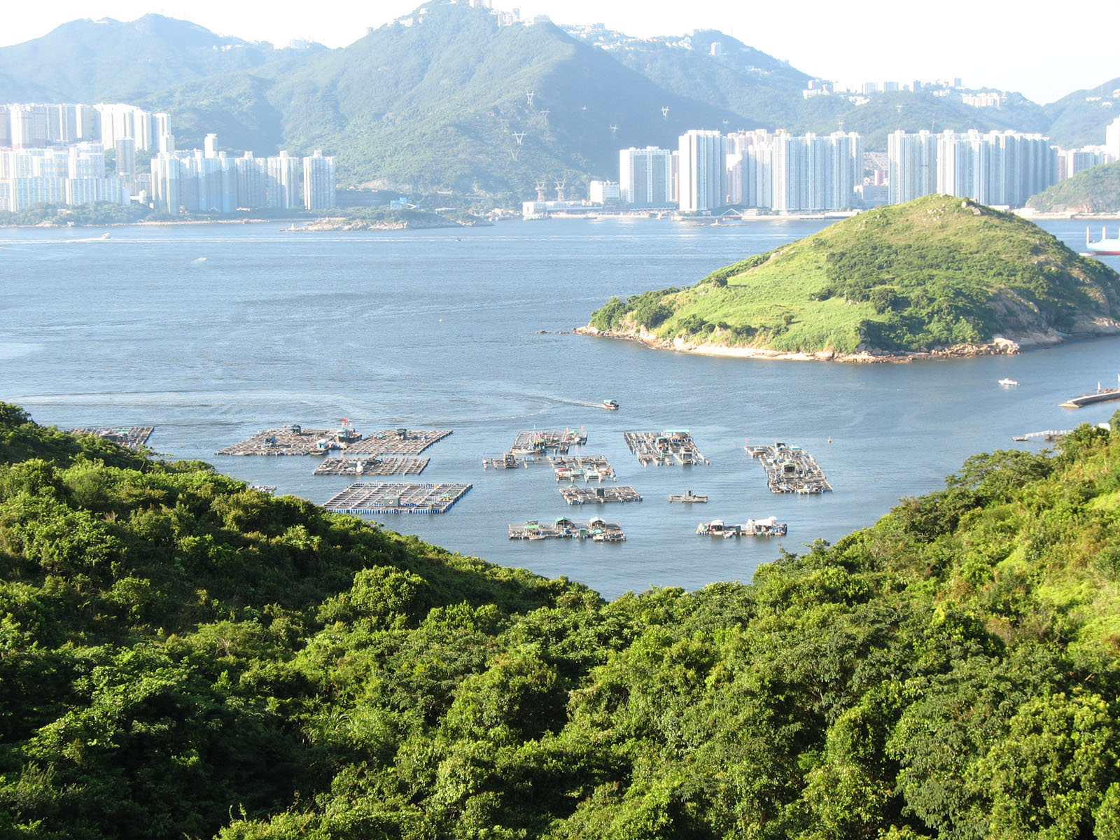 Photo 2: Lo Tik Wan Fish Culture Zone (Fishing Rafts)