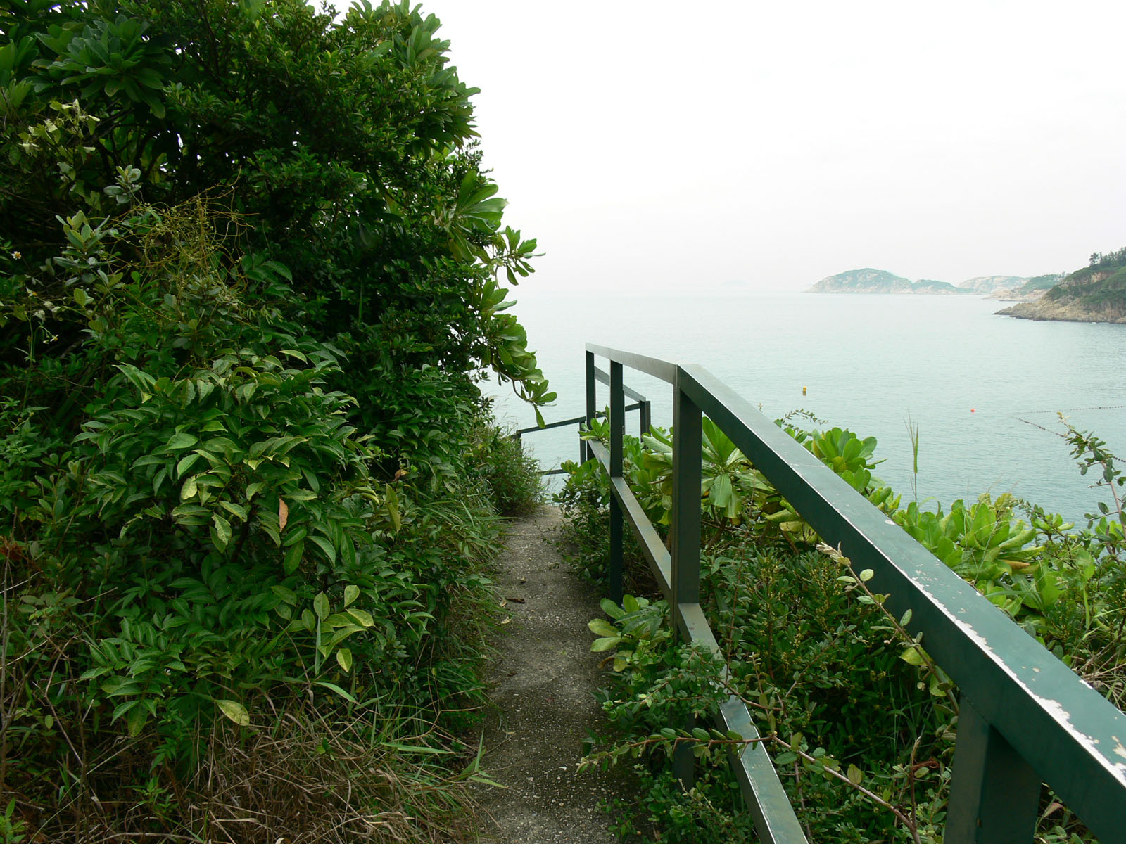 相片 8: 石澳郊野公園