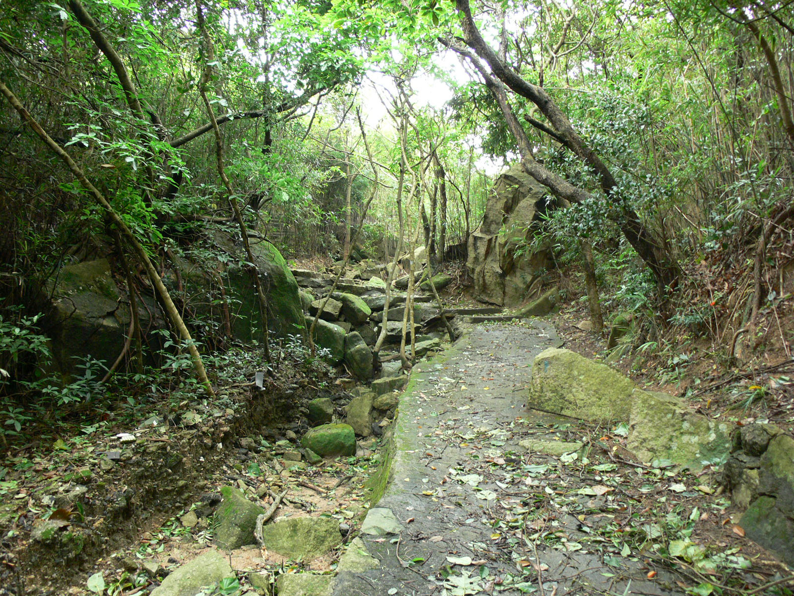 相片 14: 石澳郊野公園