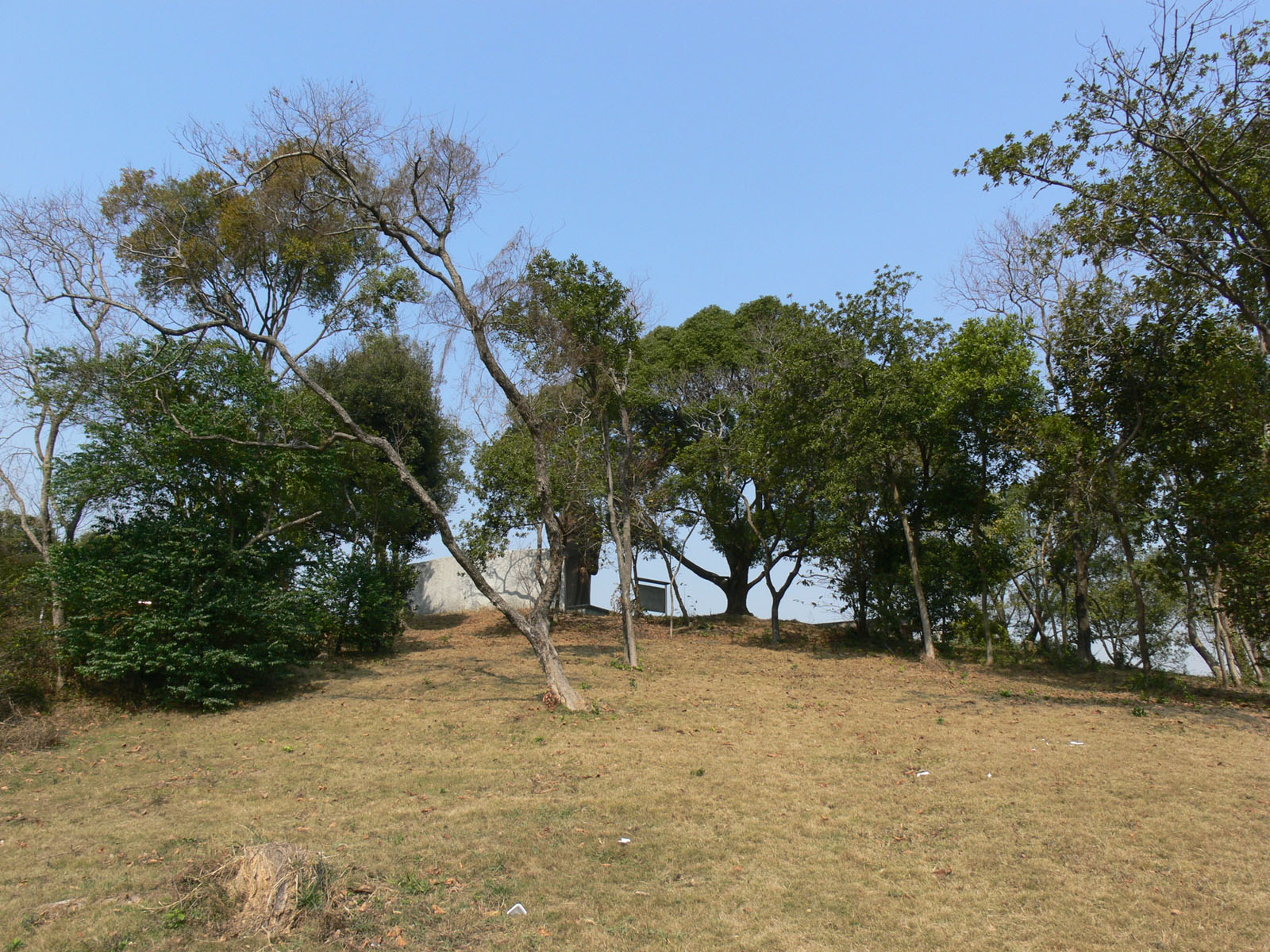 Photo 4: Man Tin Cheung Park